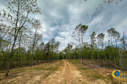 Highway 438 L2 Tennessee Land for Sale-167