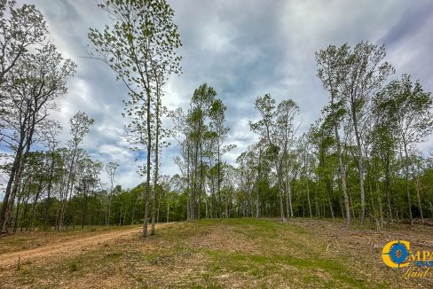 Highway 438 L2 Tennessee Land for Sale-169