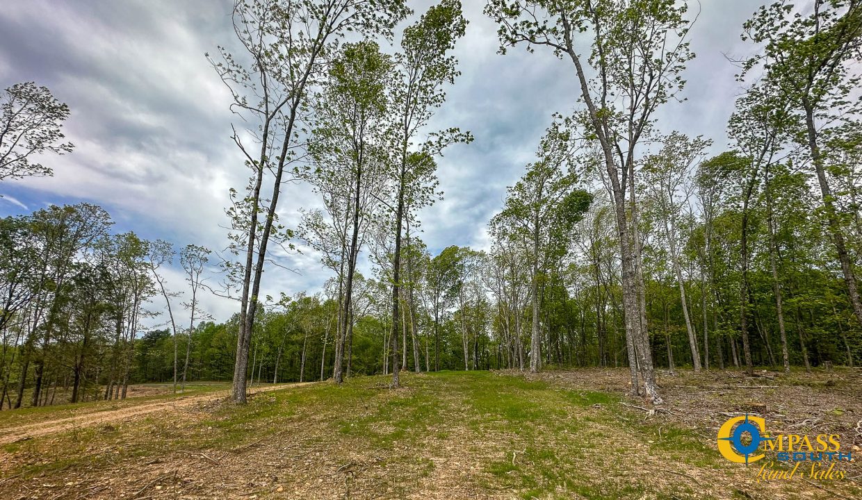 Highway 438 L2 Tennessee Land for Sale-170