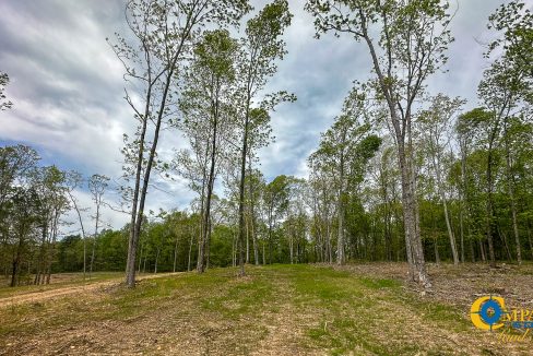Highway 438 L2 Tennessee Land for Sale-170