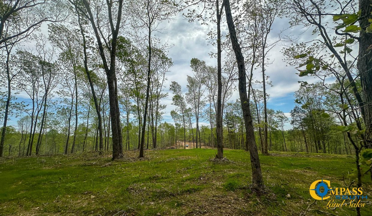 Highway 438 L2 Tennessee Land for Sale-172