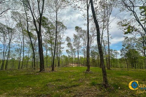 Highway 438 L2 Tennessee Land for Sale-172