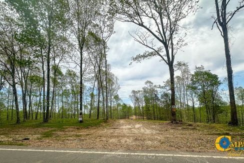 Highway 438 L2 Tennessee Land for Sale-174