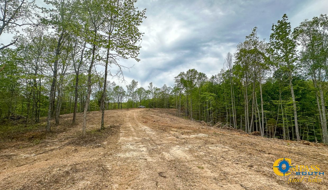 Highway 438 L4 Tennessee Land for Sale-03