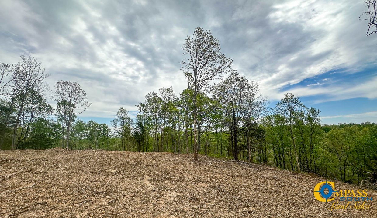 Highway 438 L4 Tennessee Land for Sale-04