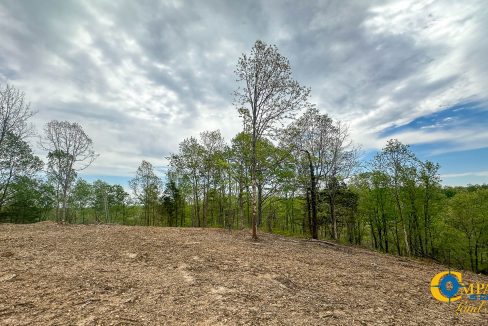 Highway 438 L4 Tennessee Land for Sale-04