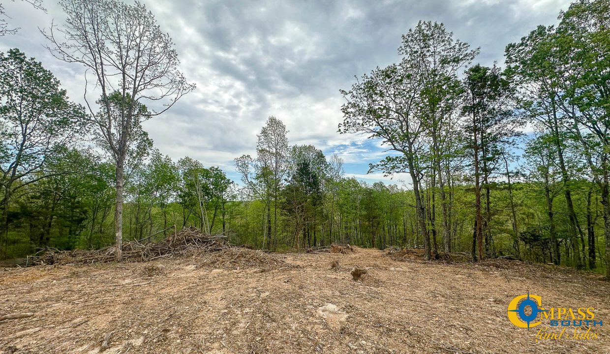 Highway 438 L4 Tennessee Land for Sale-05