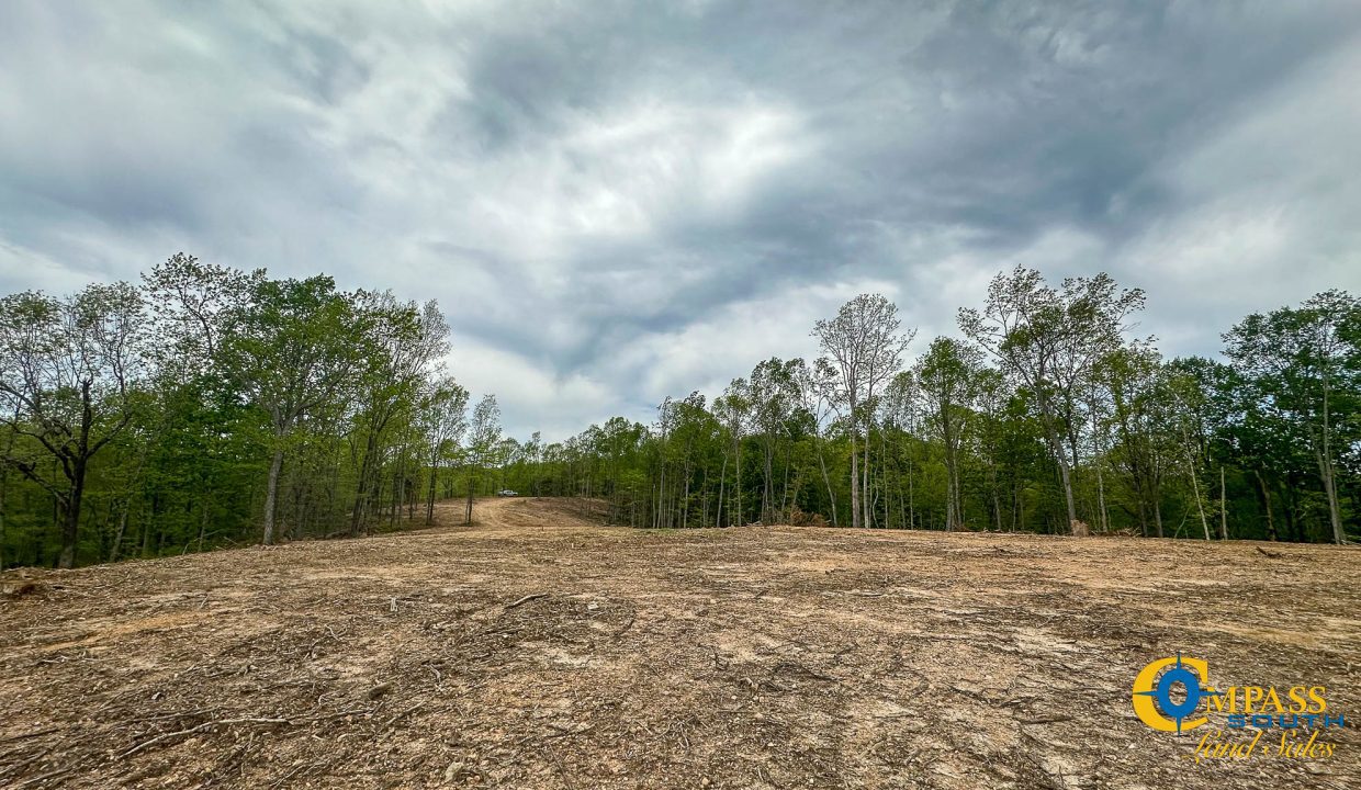Highway 438 L4 Tennessee Land for Sale-06