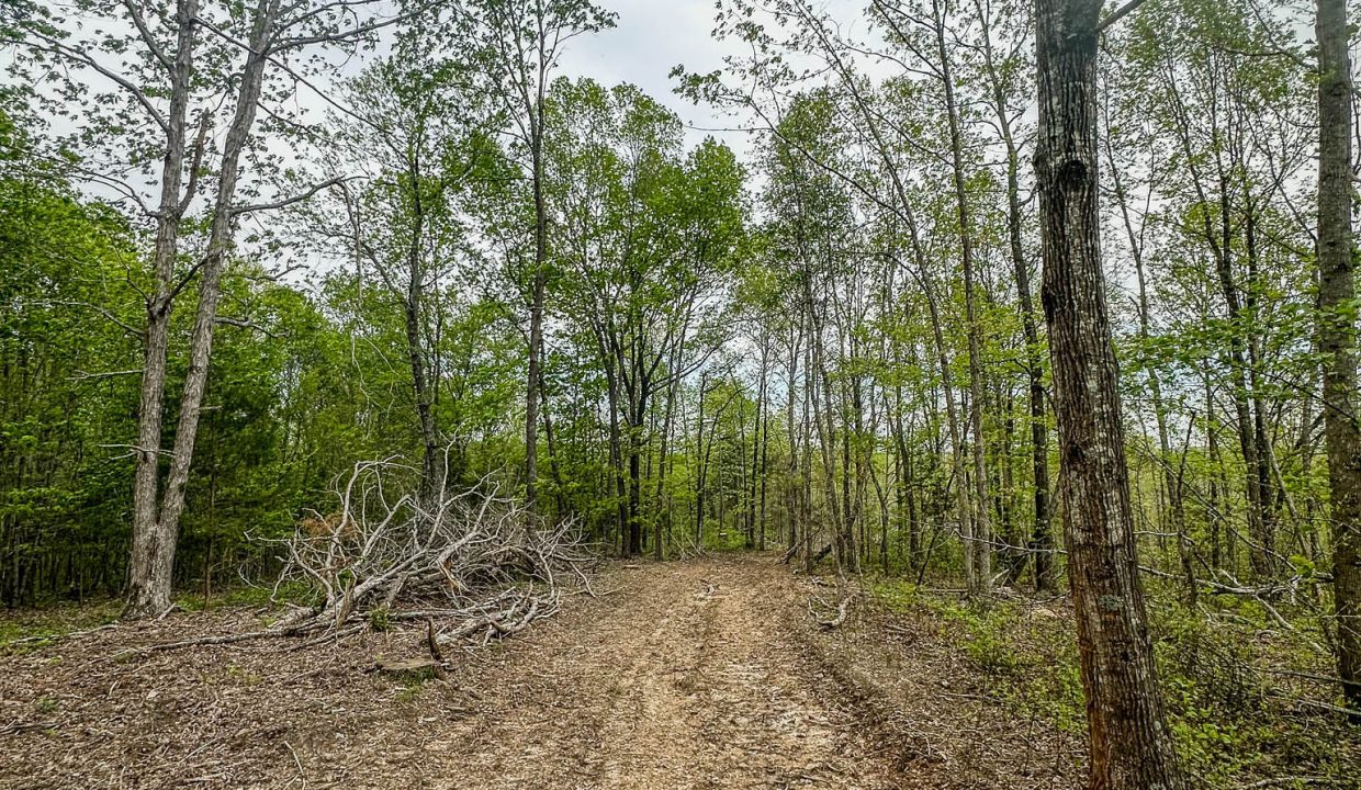 Highway 438 L4 Tennessee Land for Sale-08