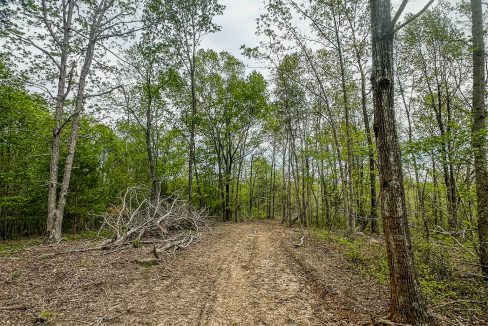 Highway 438 L4 Tennessee Land for Sale-08