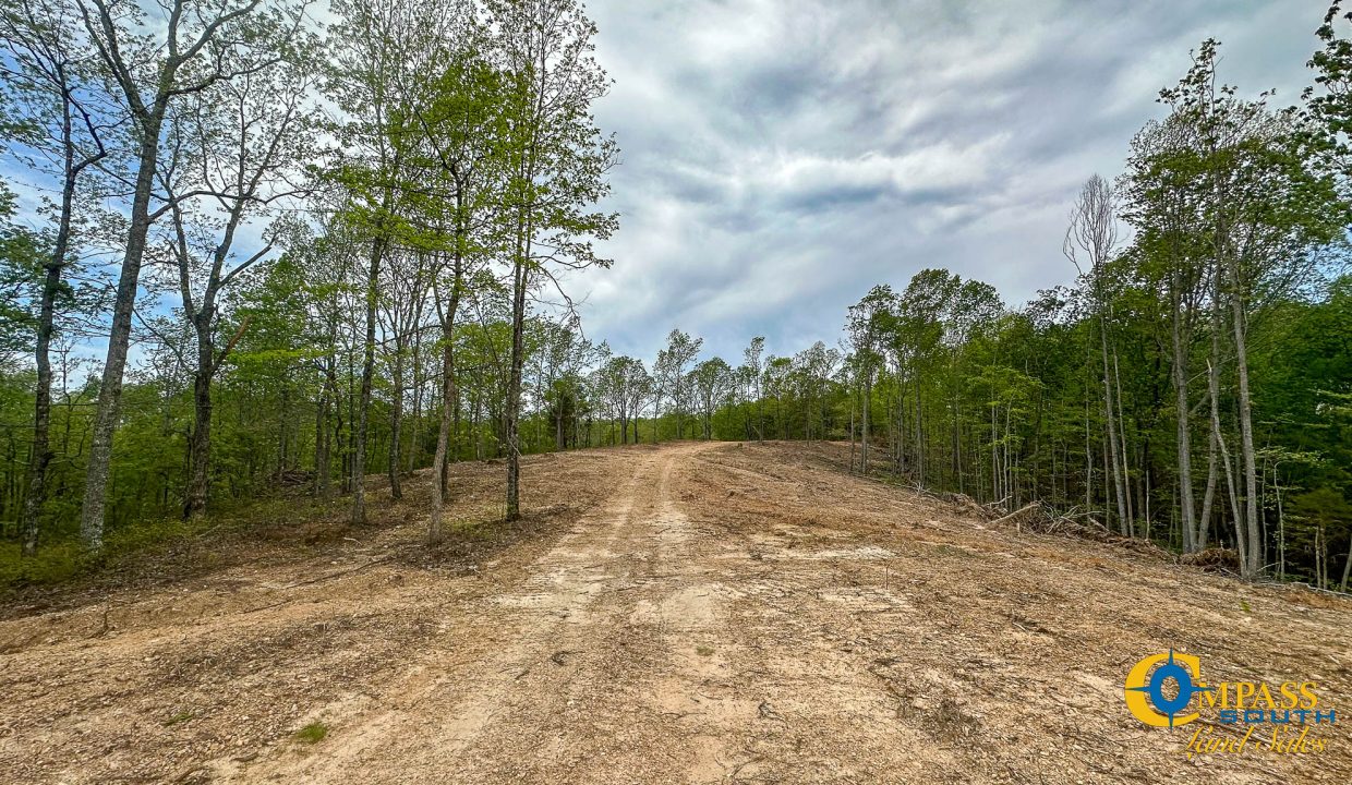 Highway 438 L4 Tennessee Land for Sale-10