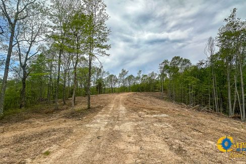 Highway 438 L4 Tennessee Land for Sale-10