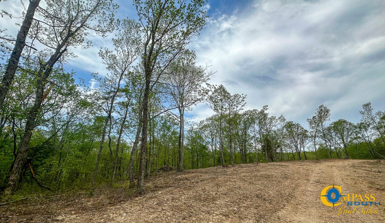 Highway 438 L4 Tennessee Land for Sale-11