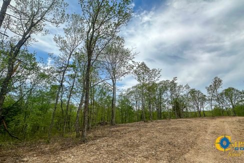 Highway 438 L4 Tennessee Land for Sale-11
