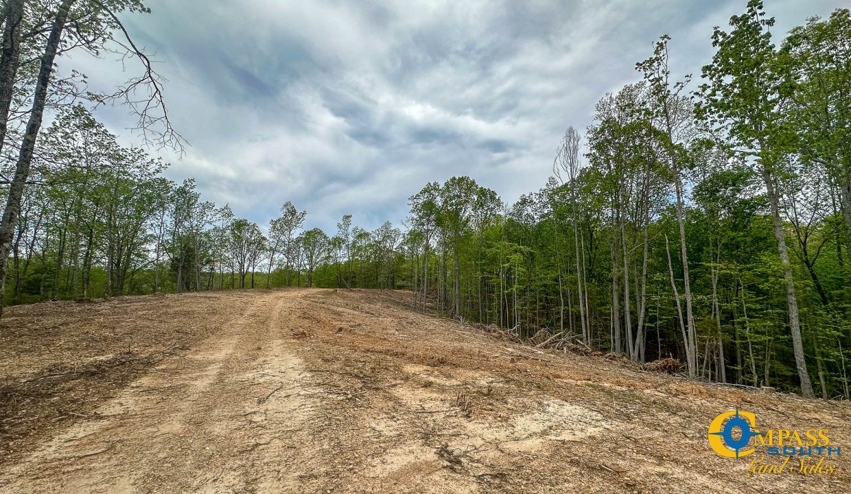 Highway 438 L4 Tennessee Land for Sale-13