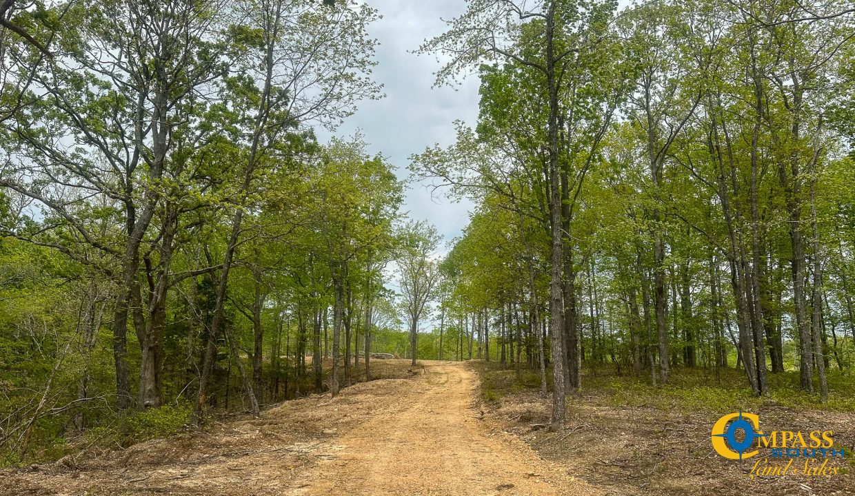 Highway 438 L4 Tennessee Land for Sale-14