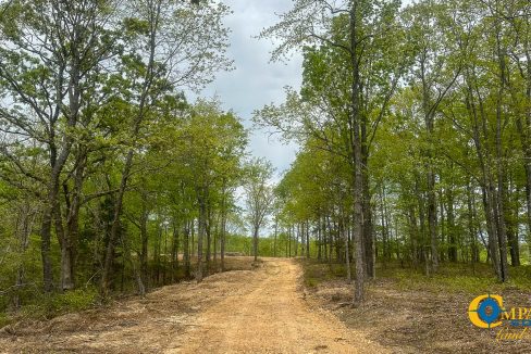 Highway 438 L4 Tennessee Land for Sale-14