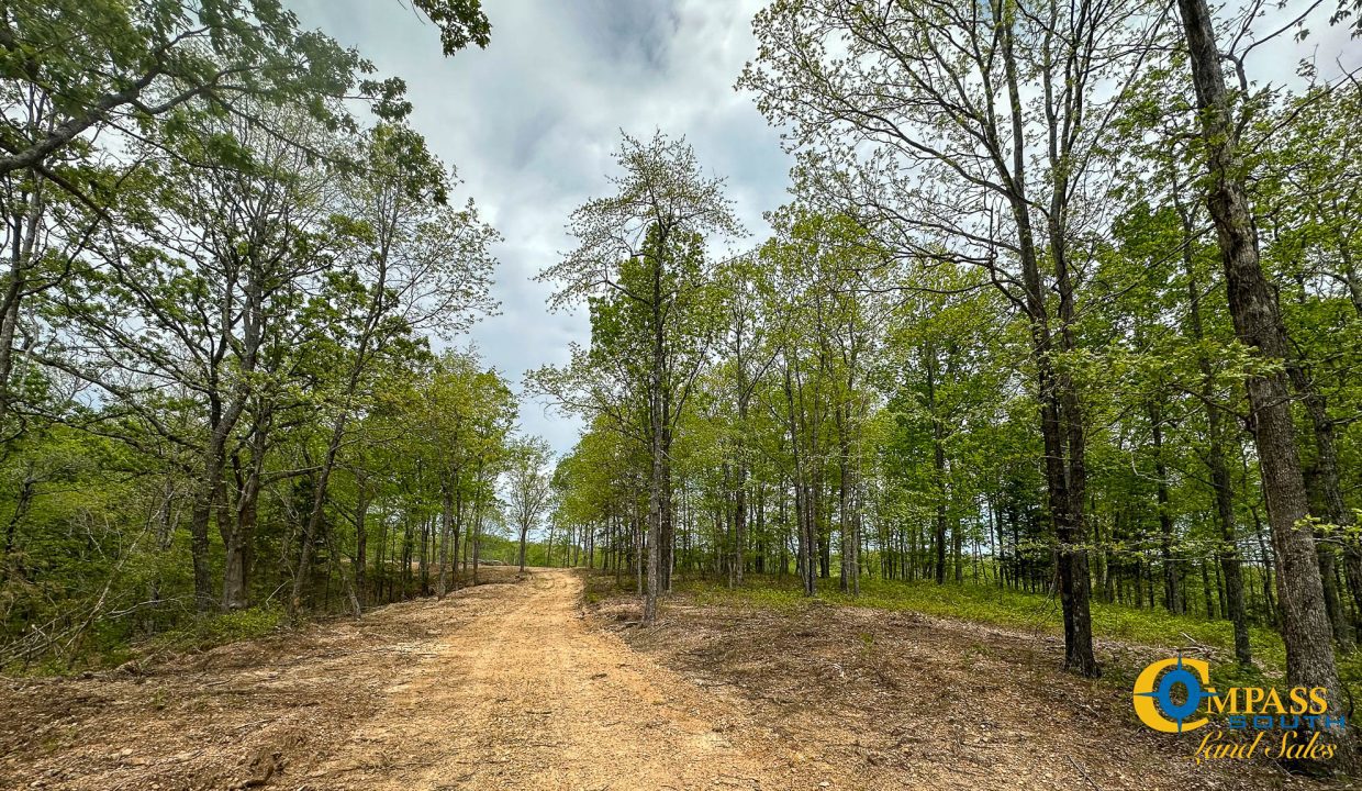 Highway 438 L4 Tennessee Land for Sale-15