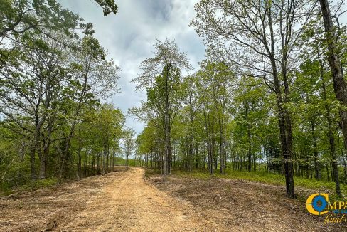 Highway 438 L4 Tennessee Land for Sale-15