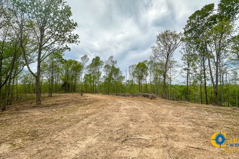 Highway 438 L4 Tennessee Land for Sale-16