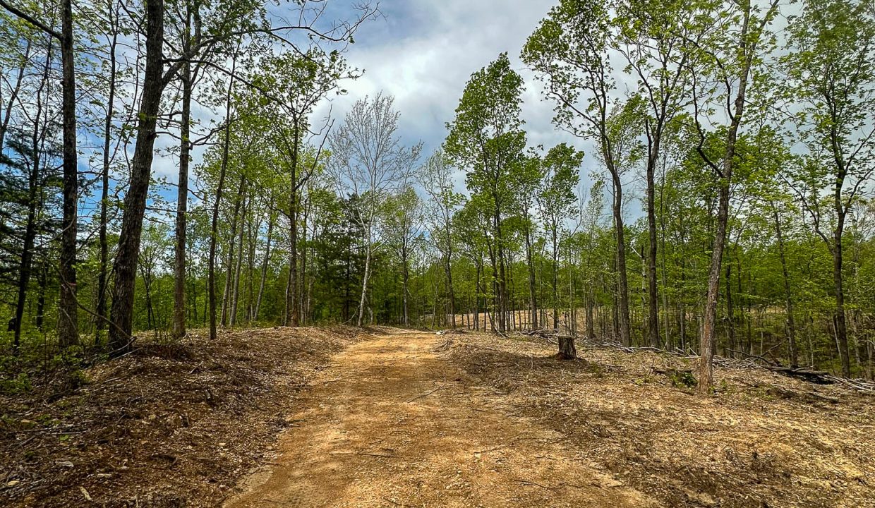 Highway 438 L4 Tennessee Land for Sale-17