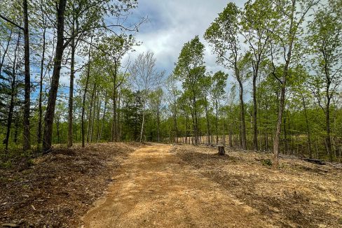 Highway 438 L4 Tennessee Land for Sale-17