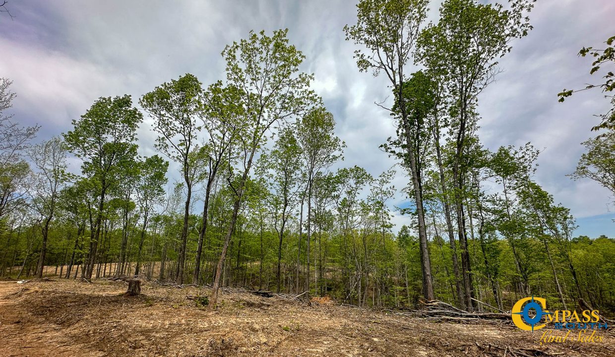 Highway 438 L4 Tennessee Land for Sale-18