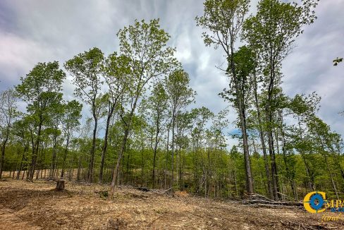 Highway 438 L4 Tennessee Land for Sale-18