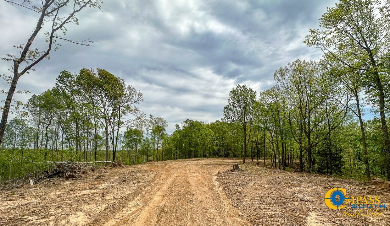 Highway 438 L4 Tennessee Land for Sale-19