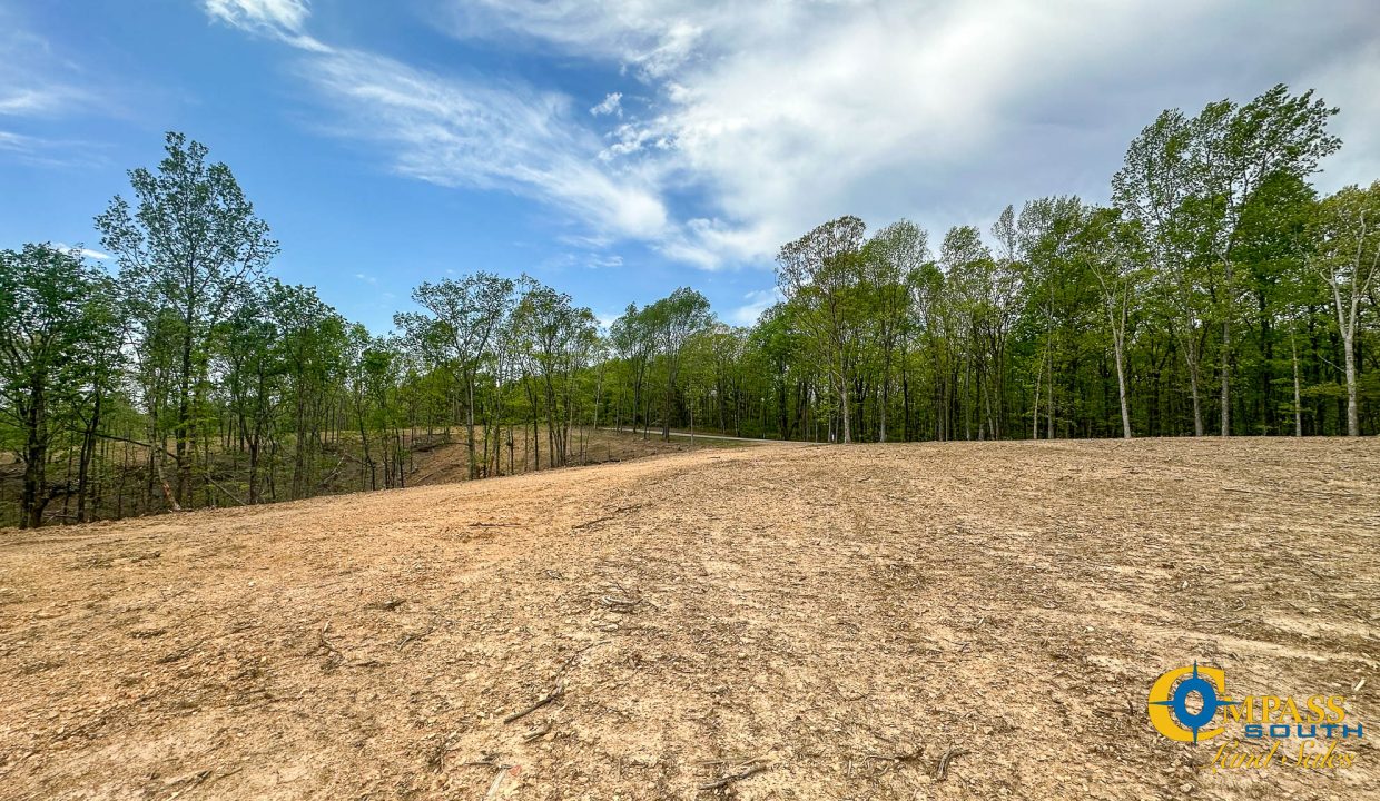 Highway 438 L4 Tennessee Land for Sale-22
