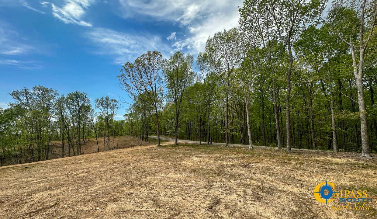 Highway 438 L4 Tennessee Land for Sale-23