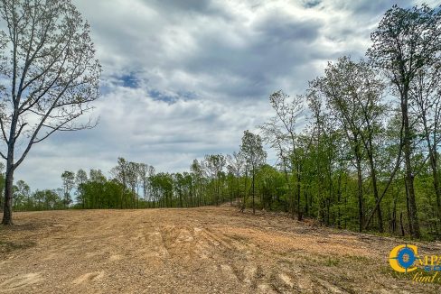 Highway 438 L4 Tennessee Land for Sale-29
