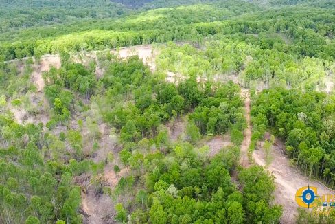Highway 438 L4 Tennessee Land for Sale-38