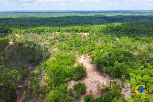Highway 438 L4 Tennessee Land for Sale-39