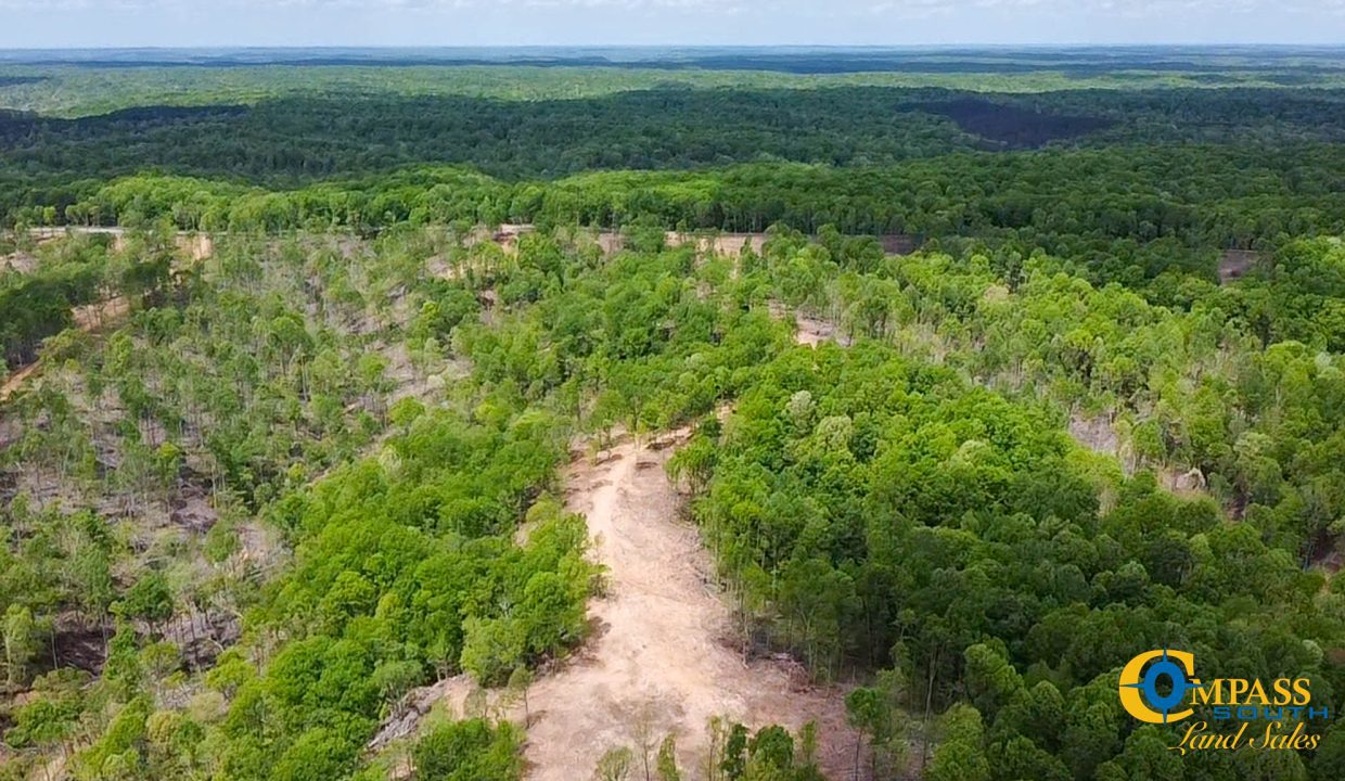 Highway 438 L4 Tennessee Land for Sale-41