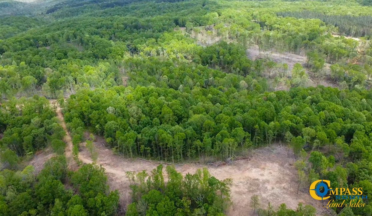 Highway 438 L4 Tennessee Land for Sale-42