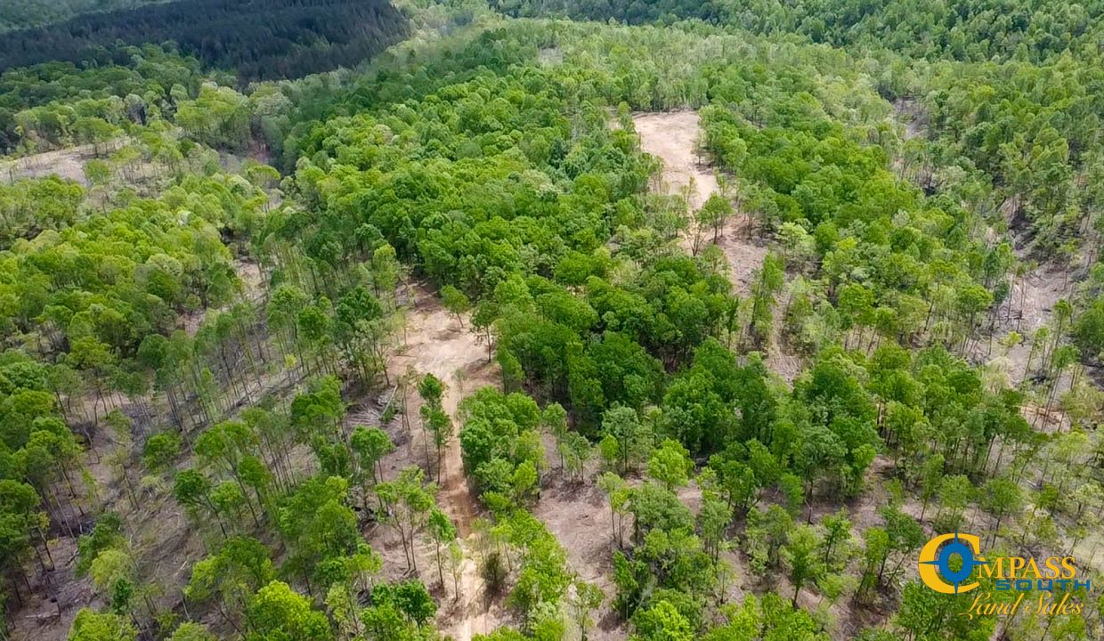 Highway 438 L4 Tennessee Land for Sale-44