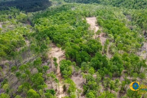 Highway 438 L4 Tennessee Land for Sale-44