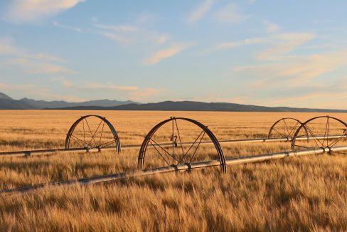 irrigation wheel