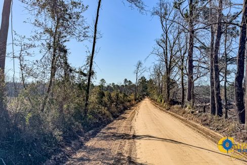 Bulloch Sands 6 Georgia Land for Sale-13 (1)