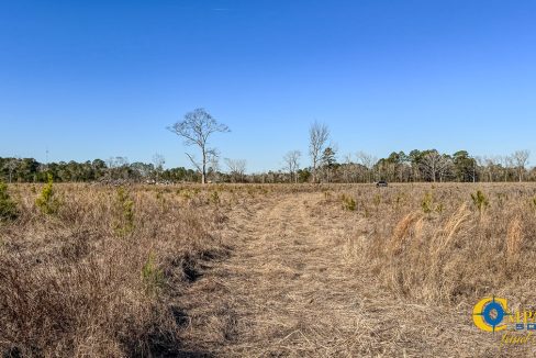 Bulloch Sands 7 Georgia Land for Sale-14