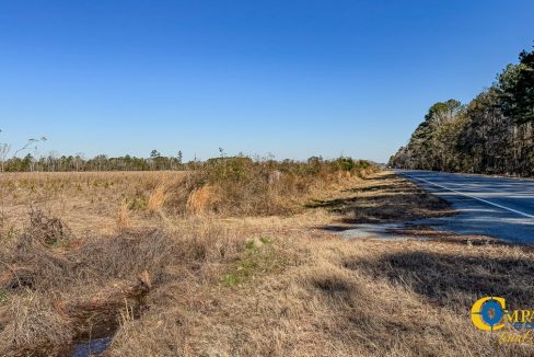 Bulloch Sands 7 Georgia Land for Sale-15