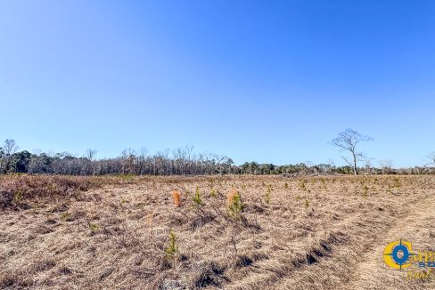 Bulloch Sands 8 Georgia Land for Sale-23