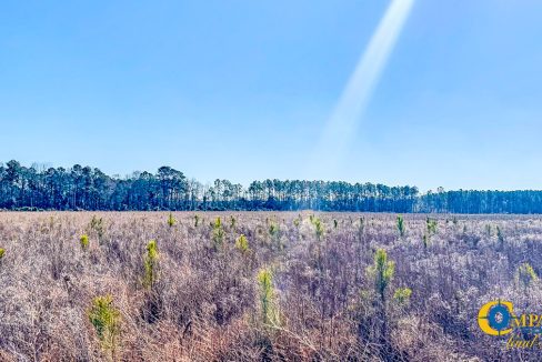 Bulloch Sands 8 Georgia Land for Sale-6