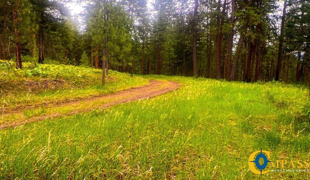 Nighthawk Drive Tract (10)