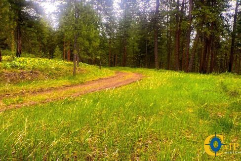 Nighthawk Drive Tract (10)