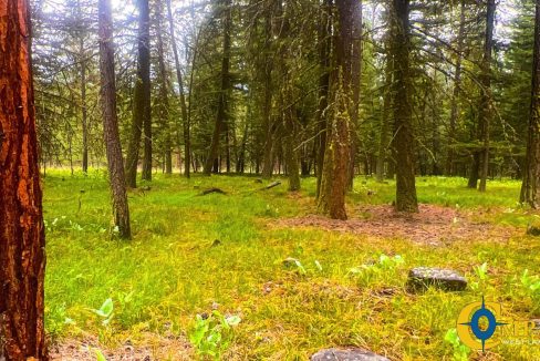 Nighthawk Drive Tract (11)