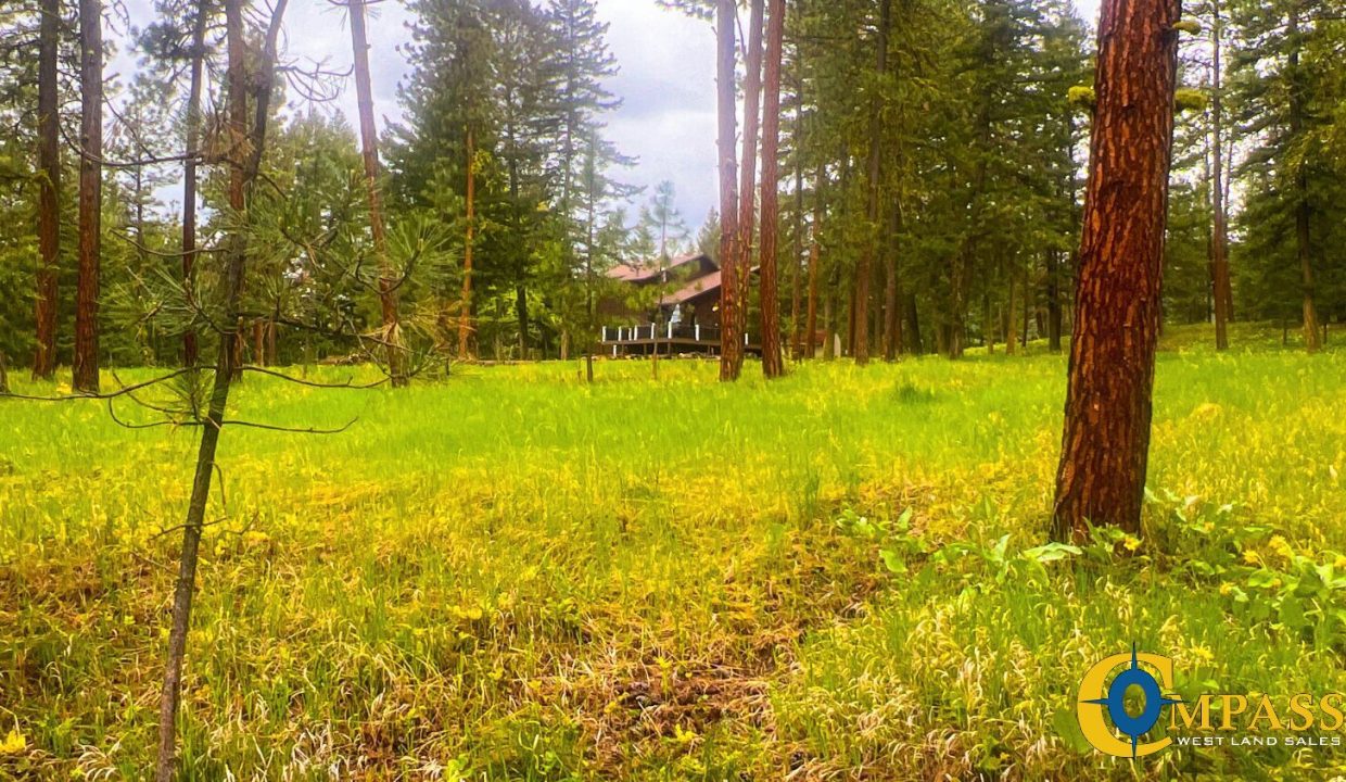 Nighthawk Drive Tract (12)