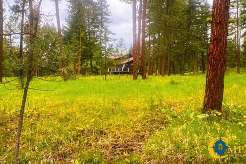 Nighthawk Drive Tract (12)