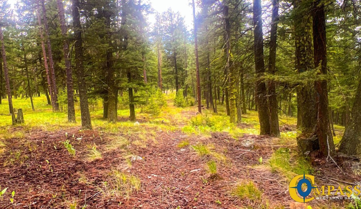 Nighthawk Drive Tract (18)